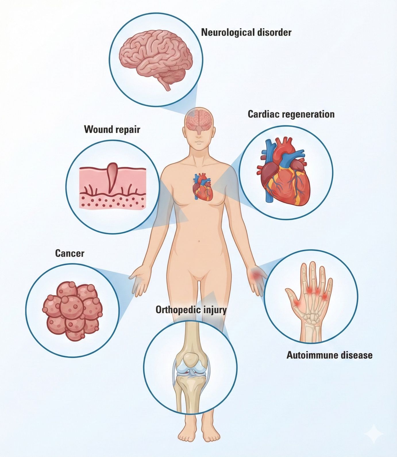 Global Regenerative Medicine
